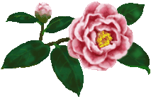 c0074000_22595378.gif