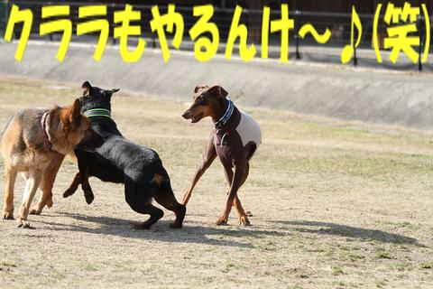 日曜日の【ディニーズ】お遊び編♪(*^ｍ^*)_e0100007_21521996.jpg