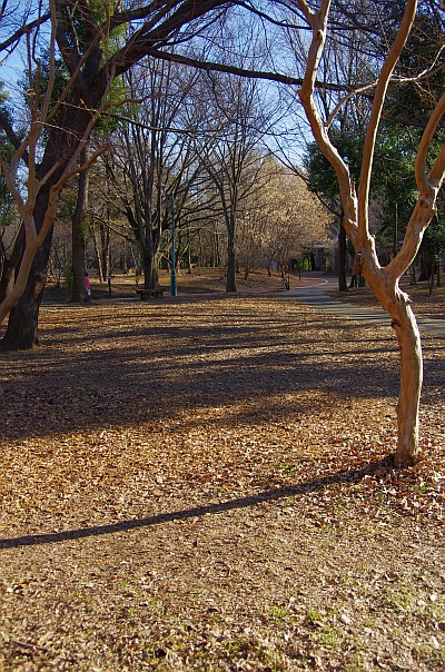 c0156908_06237.jpg