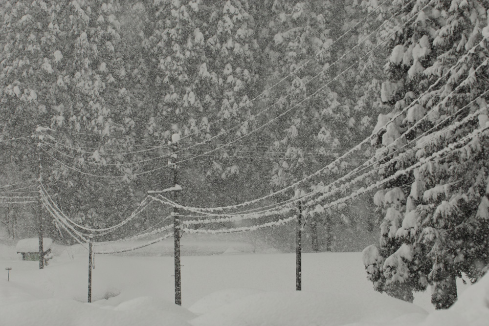 雪、降り続く_c0065410_20501830.jpg