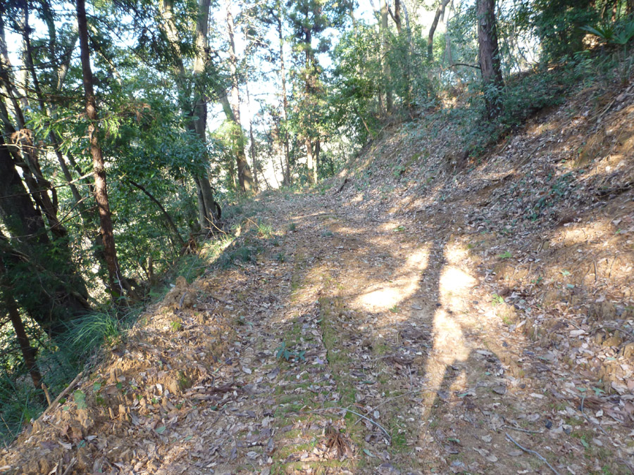 d0151813_2246124.jpg