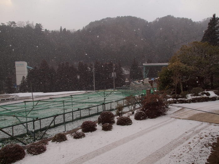 今朝も薄っすら雪_c0116915_23391060.jpg