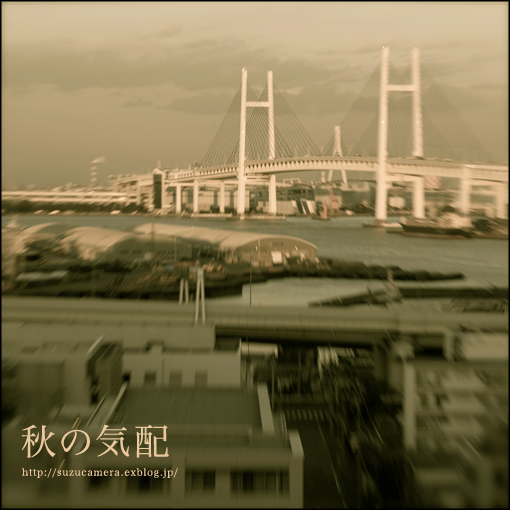 YOKOHAMA SONGS <GOLD DISC> track 7 「秋の気配」_f0100215_225949100.jpg