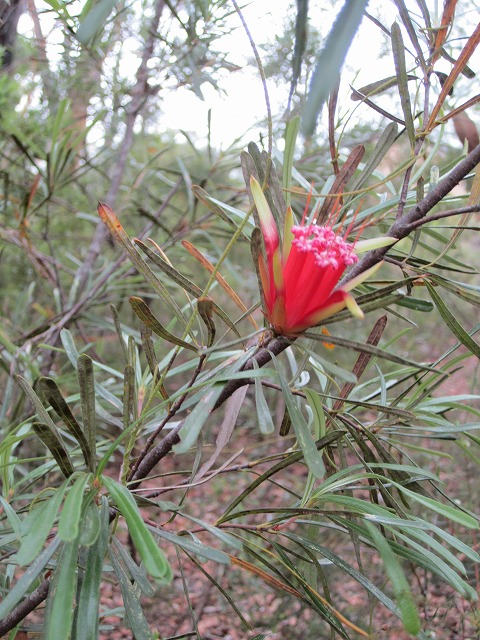 f0207320_21115630.jpg