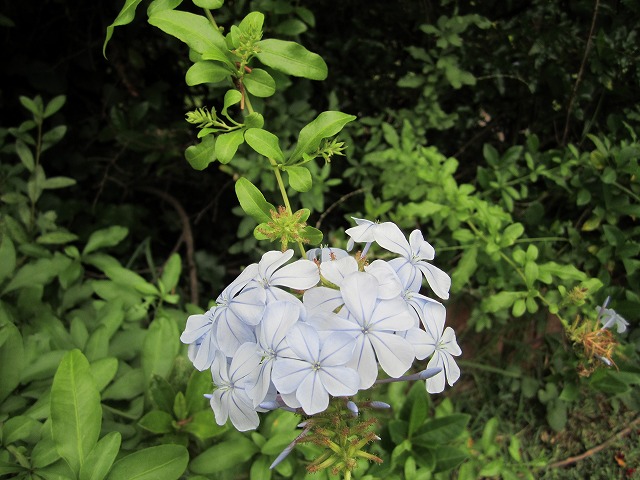 f0207320_215361.jpg