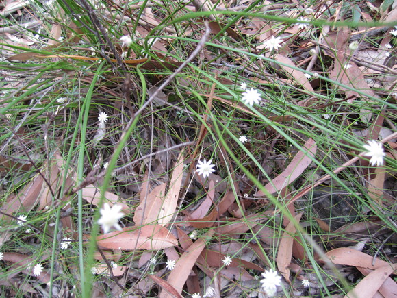 f0207320_2172247.jpg