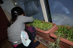 f0170524_1050138.jpg
