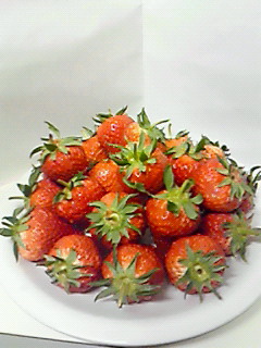 c0131727_11444164.jpg