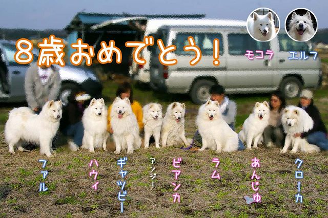 8歳おめでとう!_c0062832_20515895.jpg