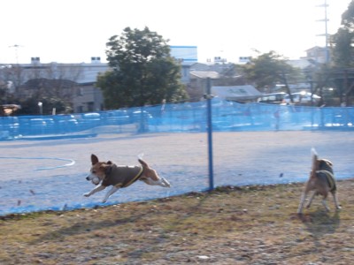 c0119142_201847.jpg