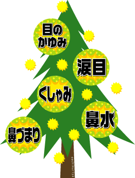 花粉症の症状 Kami Kitaのpopなblog