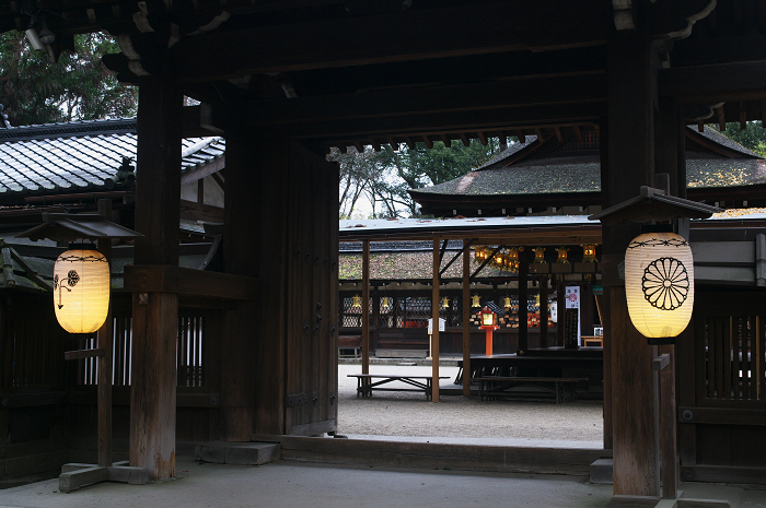 フィナーレ!京都の秋2010(下鴨神社・後編)_f0155048_22134020.jpg