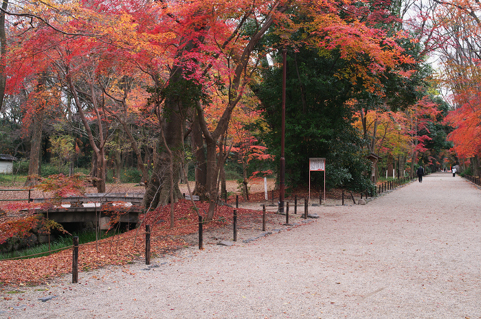 フィナーレ!京都の秋2010(下鴨神社・後編)_f0155048_22185580.jpg