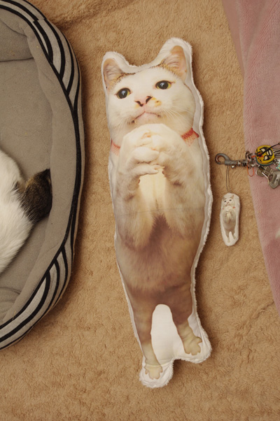 おびえるプーちゃん2_a0028451_1249750.jpg
