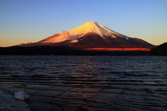 朝日を浴びて_c0225255_0163916.jpg