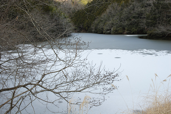 岡山県美咲町 一方谷池_f0091955_22185765.jpg
