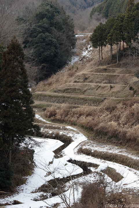 岡山県美咲町 一方谷池_f0091955_22185866.jpg