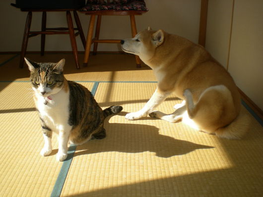 2011年1月26日(水)春はもうそこまで~♪_f0060461_14103843.jpg