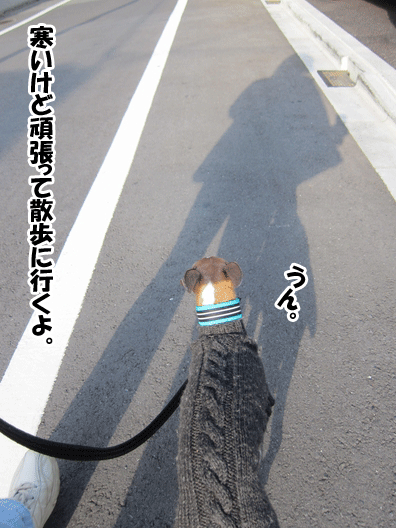 f0158862_203502.gif