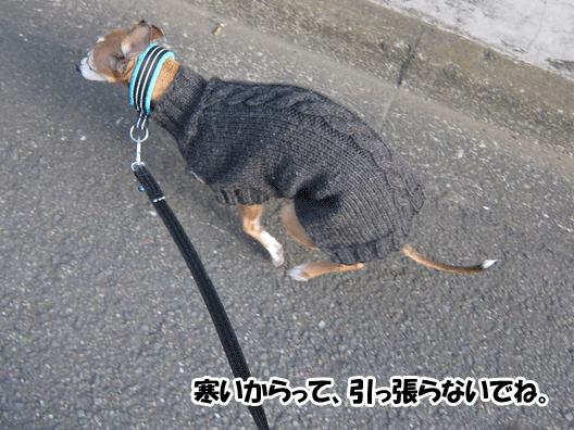f0158862_20353795.gif