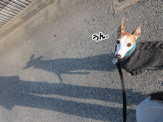 f0158862_20355056.gif