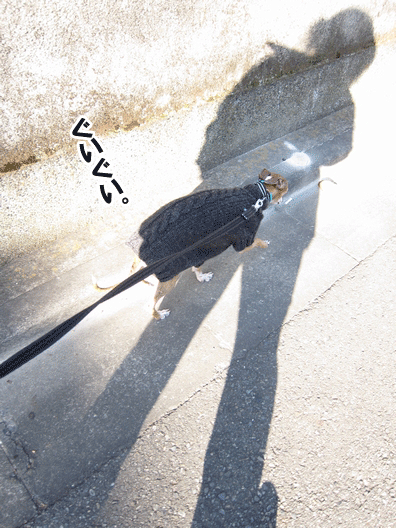 f0158862_20364148.gif