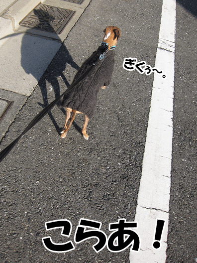 f0158862_2037157.gif