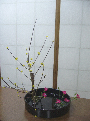e0086864_23223512.jpg