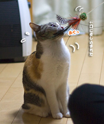 a0119470_12422498.jpg