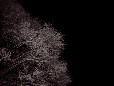 c0057781_2253232.jpg