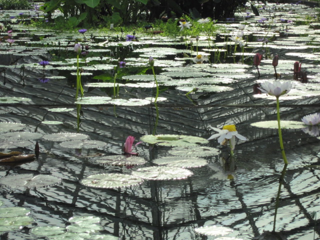 花鳥風月な休日_c0180581_0341893.jpg