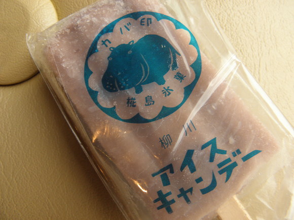 いよいよはじまる「カバのアイス屋さん」_e0221583_0225829.jpg