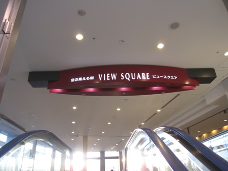 マディソンパークハチドリ