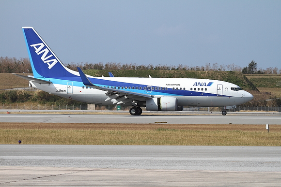 那覇　2010エアーフェスタ　その3　ANA　B737-700_e0204891_2154381.jpg