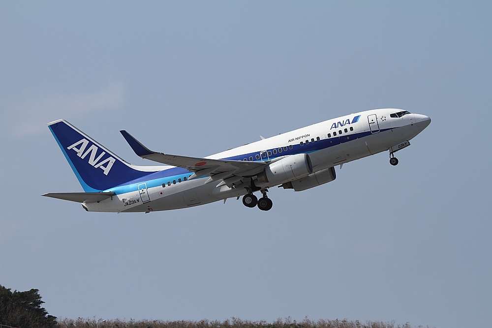 那覇　2010エアーフェスタ　その3　ANA　B737-700_e0204891_21545058.jpg