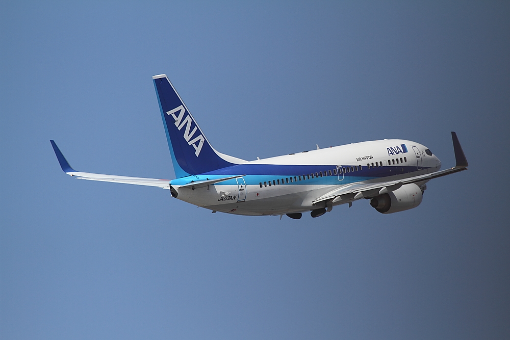 那覇　2010エアーフェスタ　その3　ANA　B737-700_e0204891_2155240.jpg