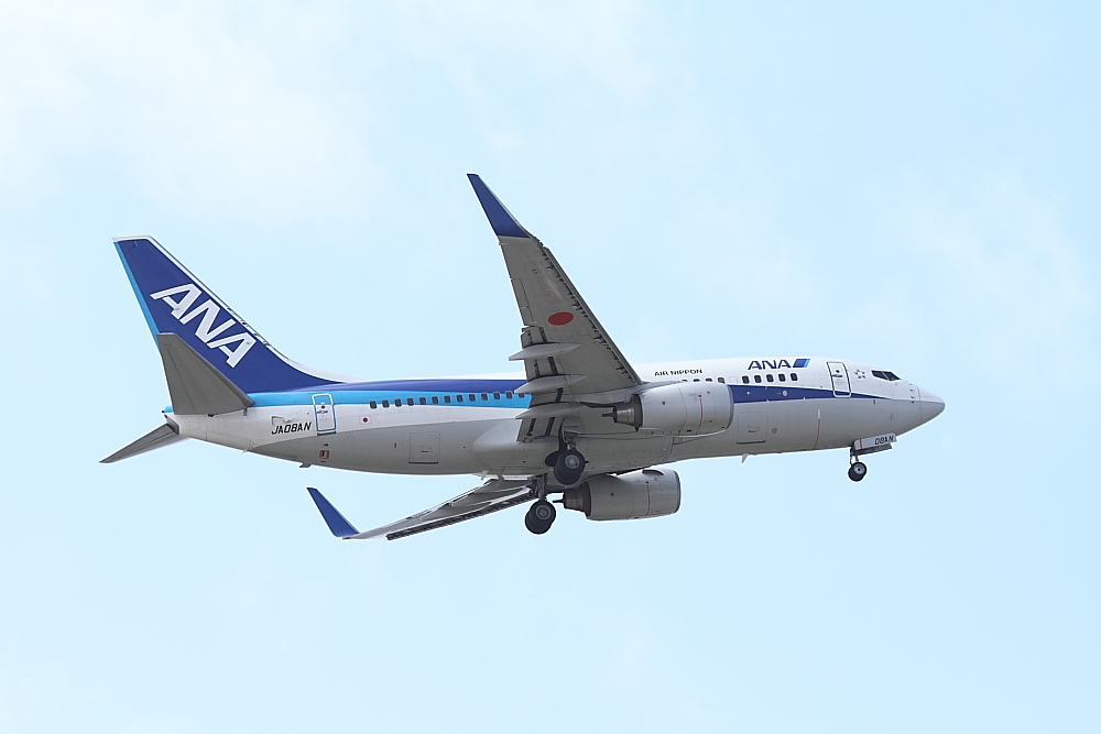 那覇　2010エアーフェスタ　その3　ANA　B737-700_e0204891_21552919.jpg