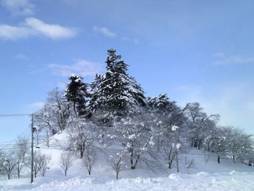 d0129296_12121145.jpg