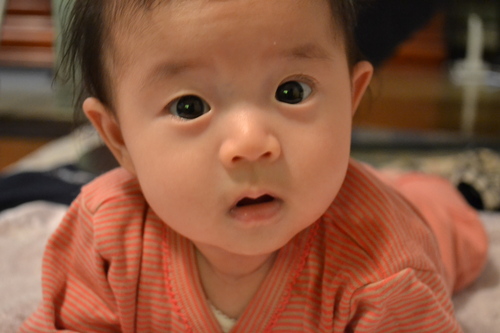 a0118701_23272813.jpg