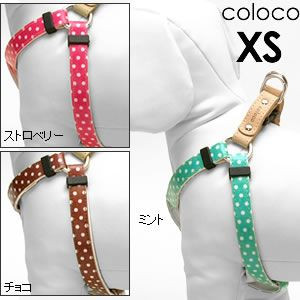 カラー&ハーネス&リード_d0060413_11401299.jpg