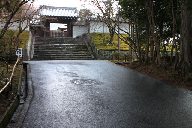 曼殊院 淡雪_e0048413_9541161.jpg