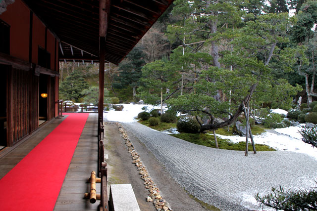 曼殊院 淡雪_e0048413_9545845.jpg