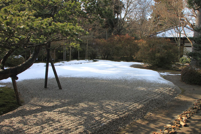 曼殊院 淡雪_e0048413_9552330.jpg