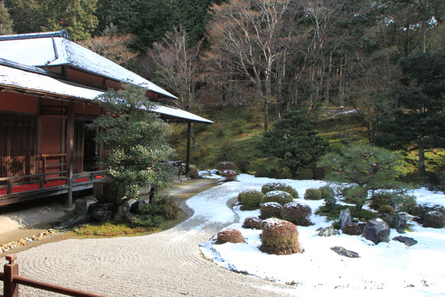曼殊院 淡雪_e0048413_9555032.jpg