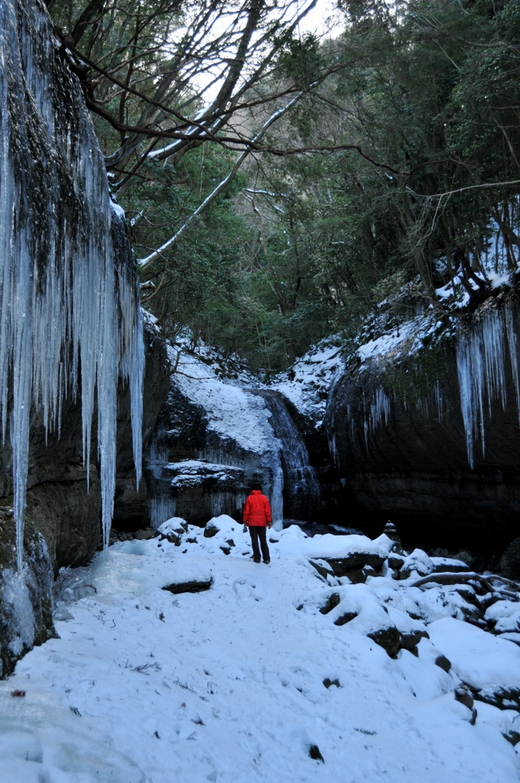 f0184314_20111944.jpg
