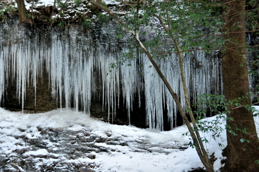 f0184314_2022419.jpg