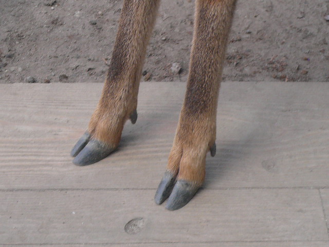 e0026017_102320.jpg