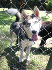 f0232522_3455550.gif
