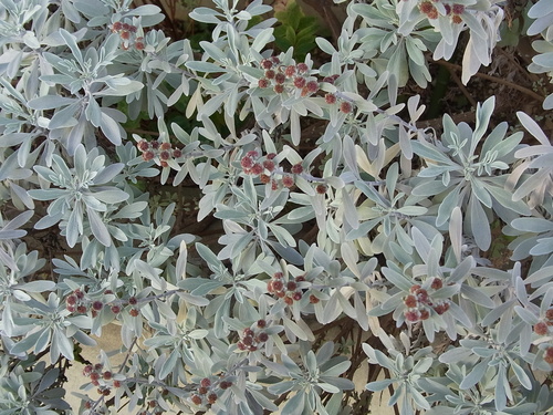 e0059726_22375033.jpg