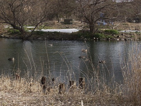 河川〇境楽園_c0077531_0154647.jpg
